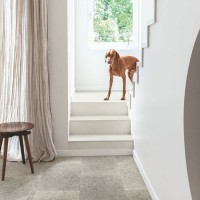 Ламинат Quick Step Muse Ultra (Rus) MUU 5485 Темный голубой камень