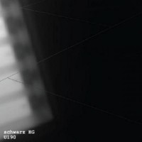 Глянцевый виниловый пол SPC Falquon The Floor Stone [U190 Schwarz HG]