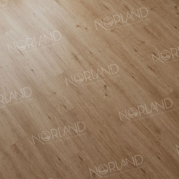 Каменно-полимерная плитка Norland SIGRID LVT Abbi 1003-1