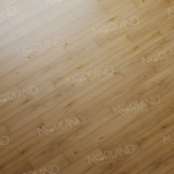 Каменно-полимерная плитка Norland SIGRID LVT Blake 1003-2