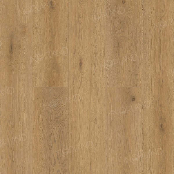 Каменно-полимерная плитка Norland SIGRID LVT Blake 1003-2