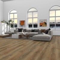 SPC ламинат Alpine Floor Premium Xl Дуб Эниф ECO 7-31 MC