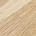 Инженерная доска Primavera Английская Елка Oak Titanio Натур